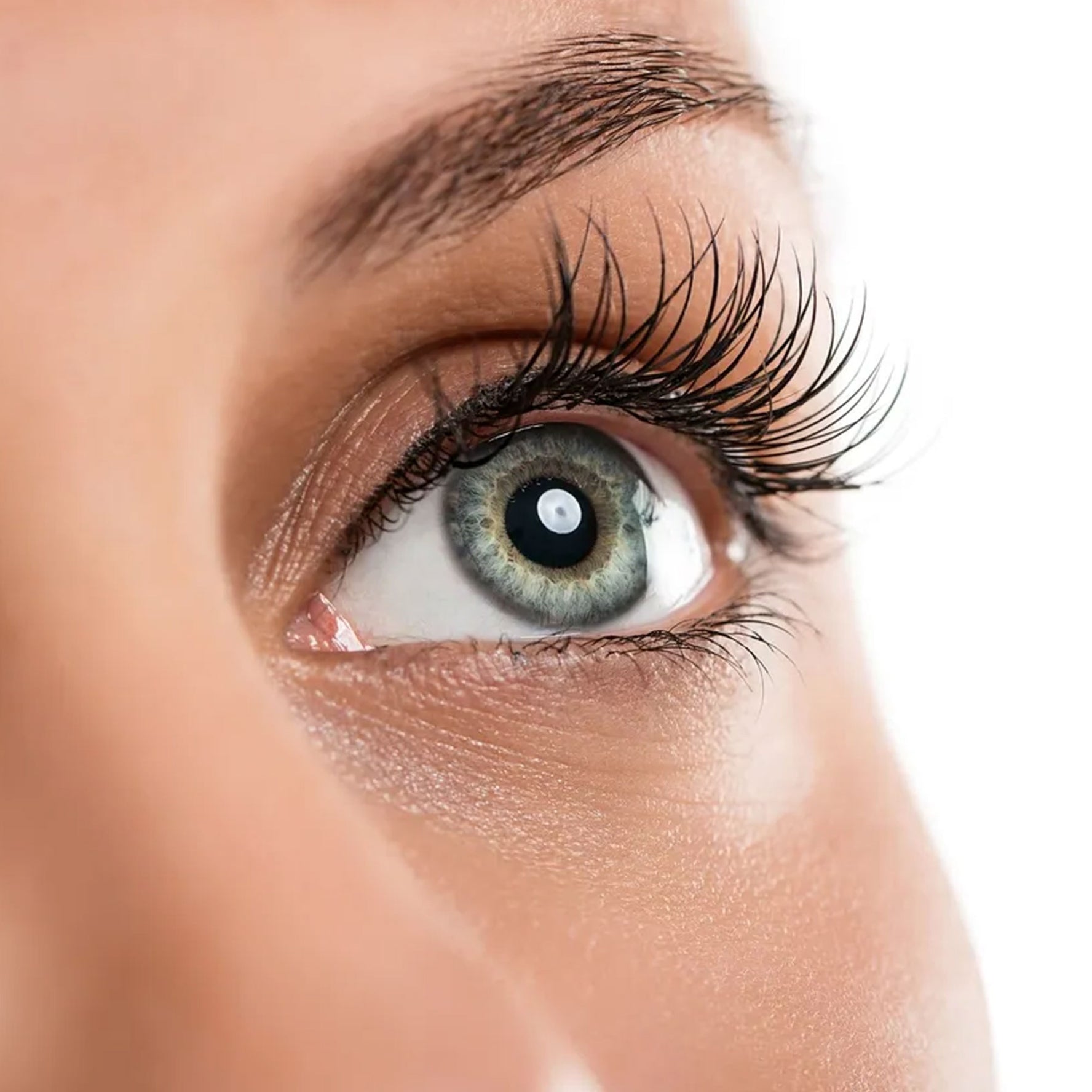Brow and Lash Treatments